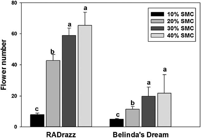 Fig. 5. Effect of substrate moisture content (SMC) (10%, 20%, 30%, and 40% SMC) on flower number of RADrazz and Belinda s Dream. Means within each cultivar with the same letter are not Fig. 6.