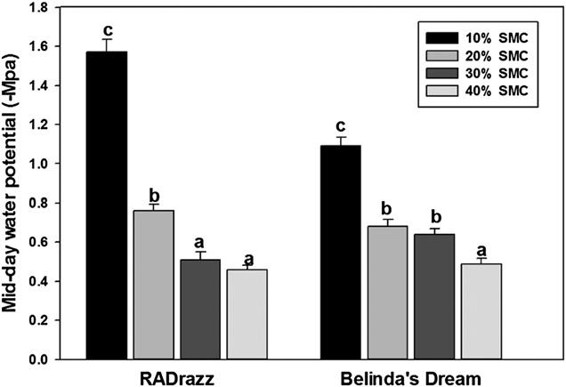 Literature Cited Fig. 7. Effect of substrate moisture content (SMC) (10%, 20%, 30%, and 40% SMC) on midday leaf water potential (y) of RADrazz and Belinda s Dream.