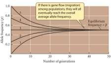 differences between populations Directly by following the dispersal of individuals Gene flow varies with