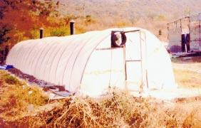 150 DARE/ICAR ANNUAL REPORT 2002 2003 AGRO-INDUSTRIAL APPLICATION OF SOLAR TUNNEL DRYER SUCCESS STORY A wak- in-type soar tunne dryer in an industry producing di-basic cacium phosphate (DCP) near