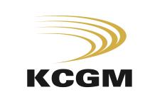 Feedback on the Insight Process KCGM identified a need to improve our processes in planning, budgeting and forecasting, but as we have some very complex requirements, we required some guidance around