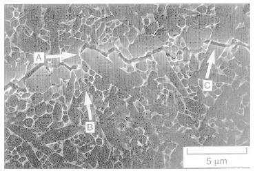 Fig. 2a: Microstructure-controlled crack deflection Fig.