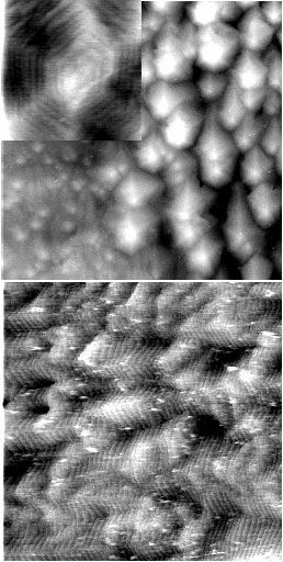 Figure 4 (a) AFM image of 200 nm thick film of GaN grown at 550 C. The 0.5µm 0.5µm inset shows a close-up of a spiral growth mound.