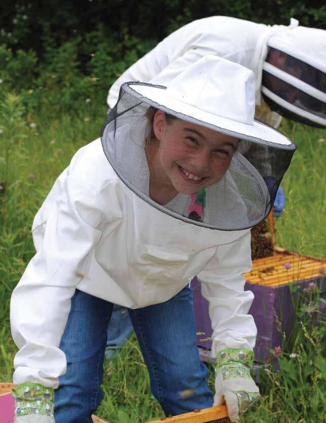 The 4-H Ag Innovators Experience Honey Bee Challenge focuses on a critical component honey bees to growing food and feeding the world.