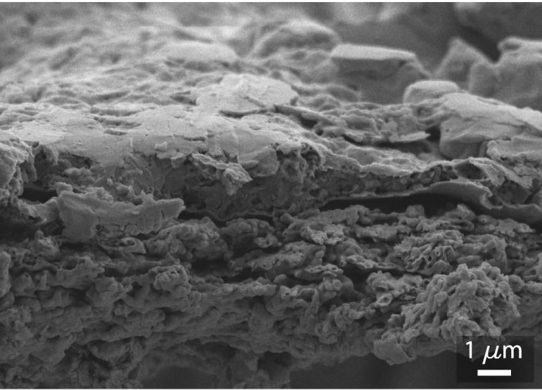 Figure 3: Cross sectional SEM image of photonically cured ICI-021 prints on paper.