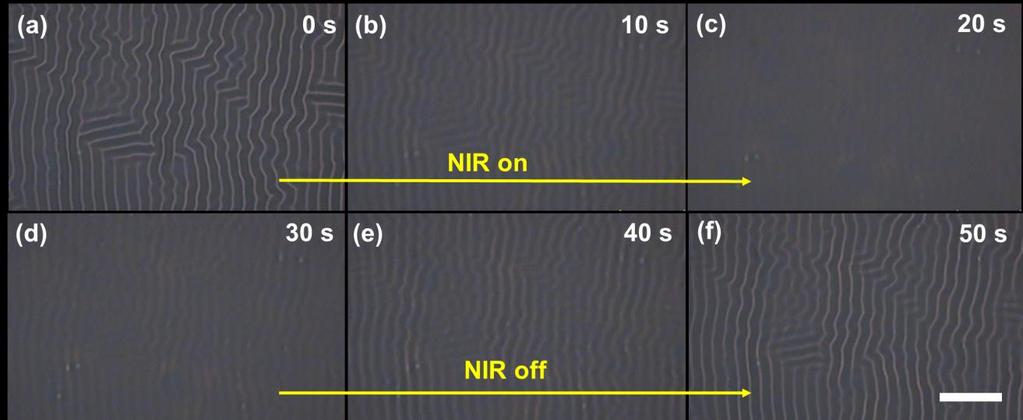 0.025%. (g) Optical images of winkle pattern transformation. The CNT extent is 0.01%. The NIR light intensity is 1.5 W/cm 2.