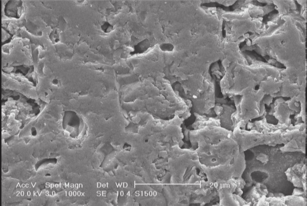 Non-cement refractory castables containing nano-silica: Performance, microstructure, properties Figure 7. SEM micrograph of gel-bonded castable containing 10 wt. % nano-silica sol dried at 110 ºC.