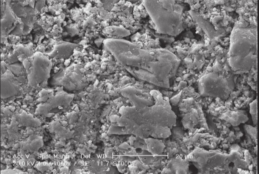 This figure reveals that the microstructure of these castables consisting of tabular aggregates (TA) and agglomerates of fine alumina, microsilica and colloidal silica in the matrix.