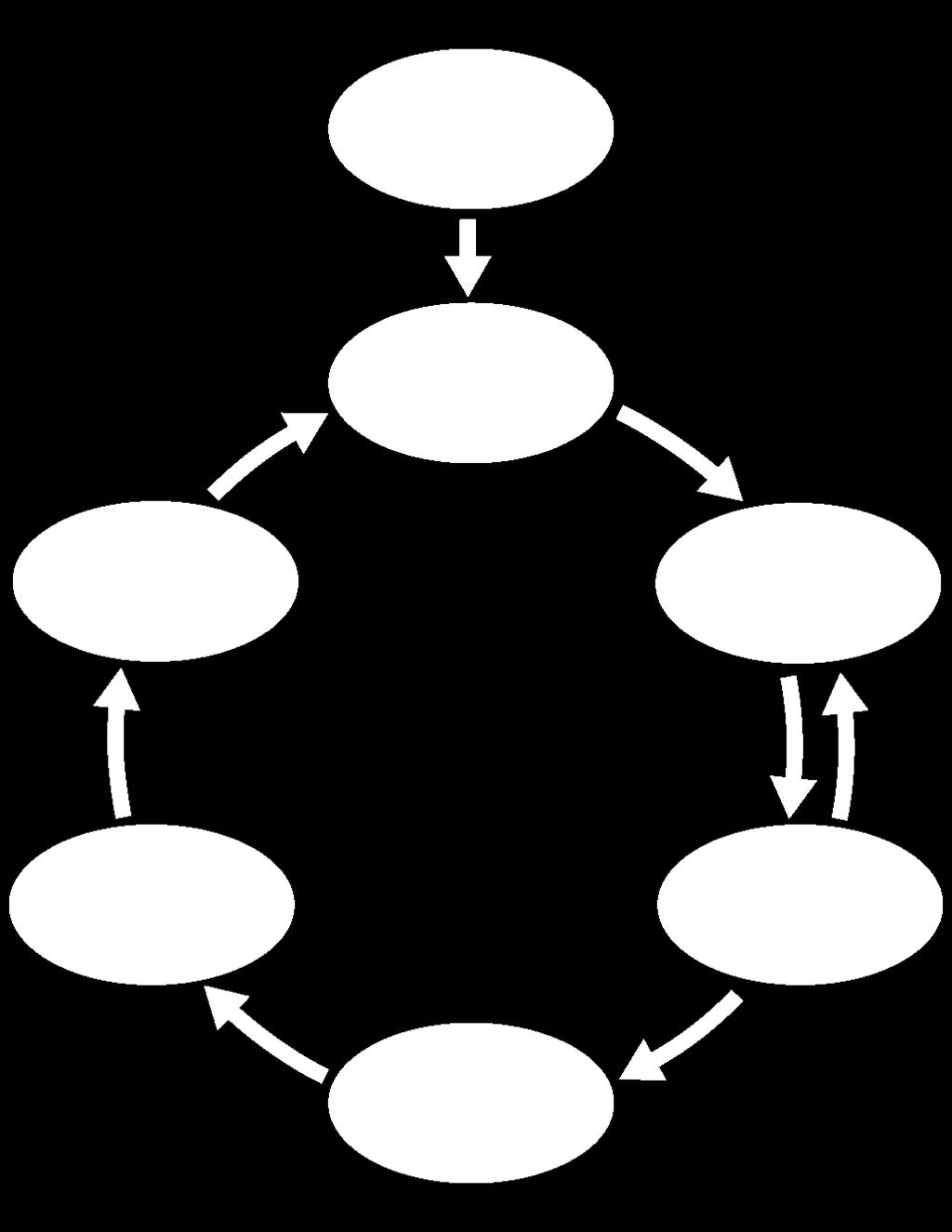 The language used in the diagram above is one of many possible ways to describe the SPI process.