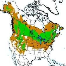 Current climatic range 1971-2000