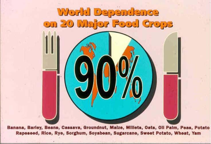 Crops are spread all over the world, and Food