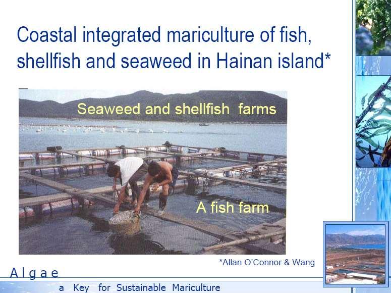 A few examples.. Spontaneous integrated mariculture, often takes place in coastal regions.