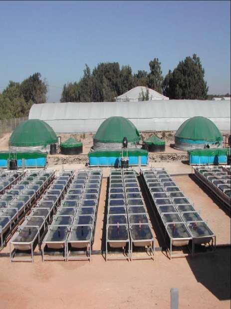 Projects around the world Abalone cultivation building Fish Fish Fish Seaor Marine farm in Mikhmoret, Israel.