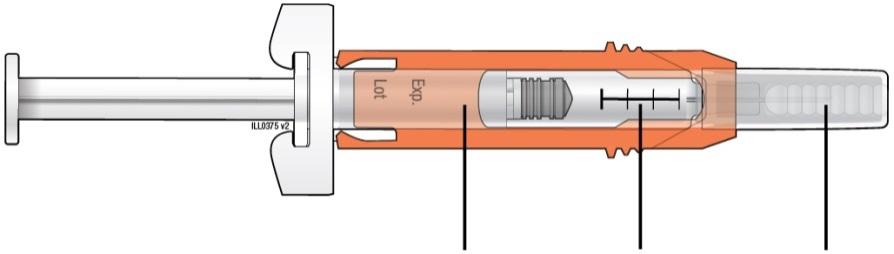 B Inspect the medicine and prefilled syringe. Label and Medicine Gray needle cap expiration date window with markings Turn the prefilled syringe so you can see the medicine window and markings.
