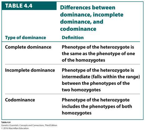 of Genetic Crosses Genes at the same locus two versions of the same gene; each version of the same gene is