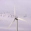 Tax credit on clean energy masks true costs cheapest source of new power generation Problems Does kill birds and bats