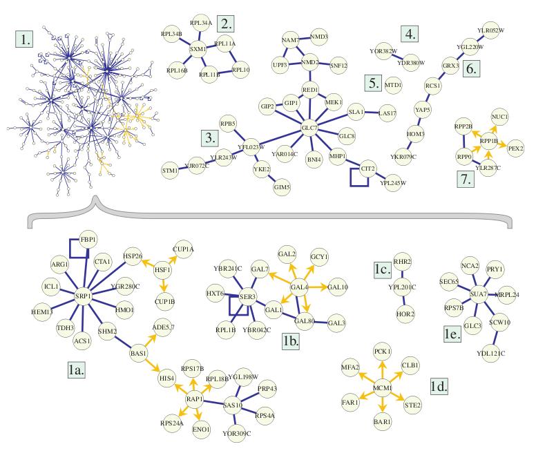 active subnetworks in the full yeast