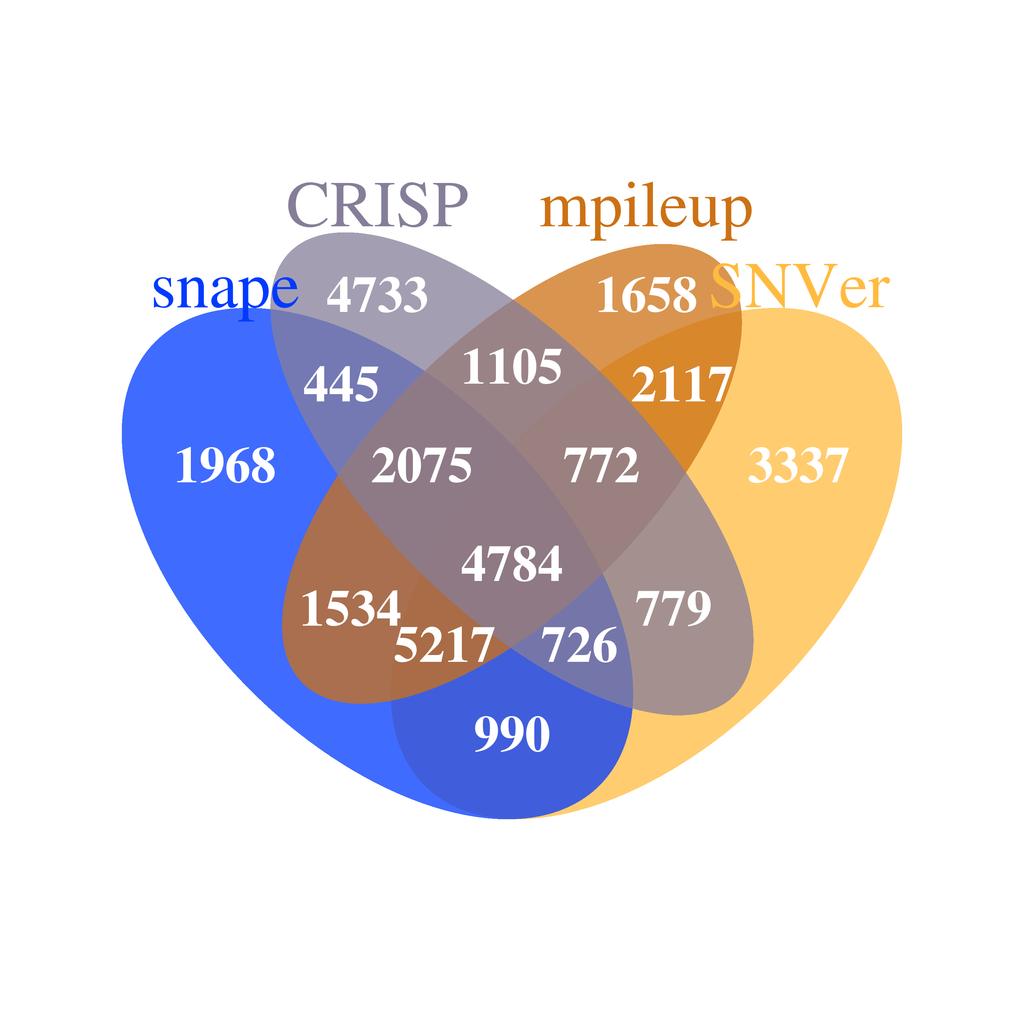 Identified SNPs vary between programs/algorithms Venn diagram of the number of SNPs (coverage >400)