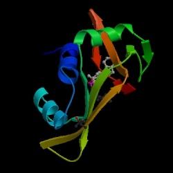 Tertiary structure: full 3D folded structure of the