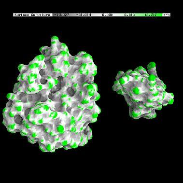 Docking - Trypsin and