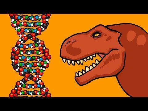 70 Questions: Essential Question: What is RNA and how is it different from DNA? 71 Genes give the instructions to create proteins which are made in ribosomes.