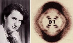 Watson, Crick, & FRANKLIN James Watson and Francis Crick are credited with discovering the double-helix shape of DNA However, they stole the