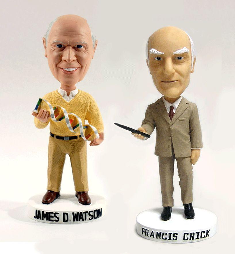 2. Francis Crick & James Watson a.