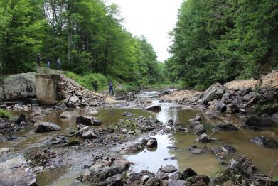 Restoring Fish Passage and Stream Connectivity Poorly designed culverts, dams, and other outdated or remnant infrastructure can alter natural river and stream processes by limiting the passage of
