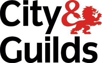 QUALIFICATION HANDBOOK Level 3 NVQ Diploma in Accessing