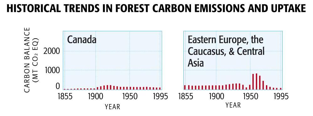 have become net carbon SINKS (rather than sources) due to