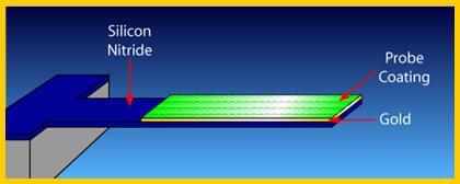 MEMS Deposition Processes Polysilicon structural layer (the cantilever structure), Silicon nitride (isolation), Gold adhesive layer, probe coating (chemically reactive layer to sense specific