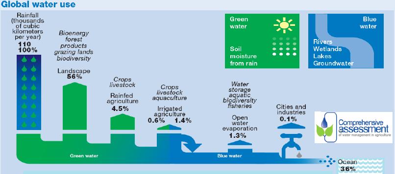 Global Green and Blue water