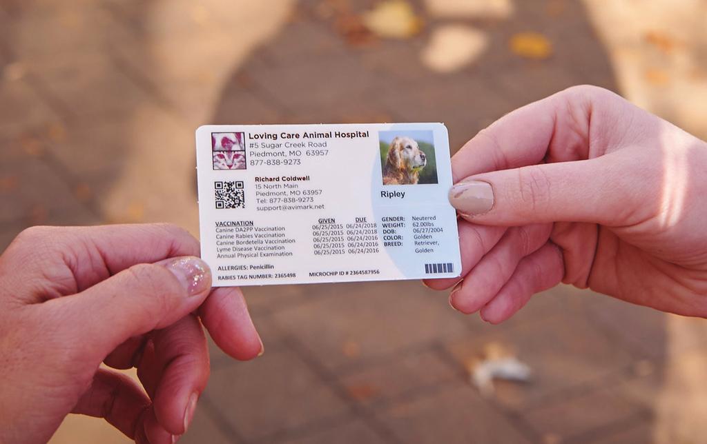 These cards contain vital health information for each pet including vaccination schedules, allergies, and microchip identification numbers easily accessible by your clients, all in one place.