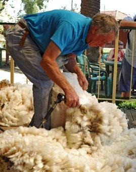 International production Australia is one of the world s largest wool producers, but still faces competition from other producers such as New Zealand, South Africa and China.