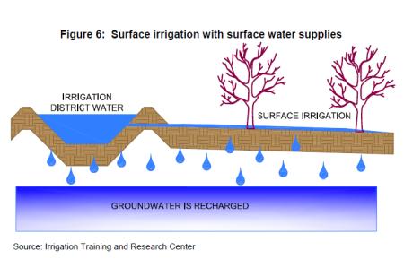 THE DILEMMA OF WATER MANAGEMENT Farm level decisions impact on groundwater resources Statewide adoption of drip and