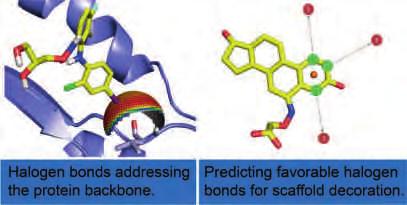 P231 Halogen-Bond-my-Ligand Generating Hints for Scaffold Decoration Markus O. Zimmermann, [a] Andreas Lange, [a] Rainer Wilcken, [a,b] Frank M.