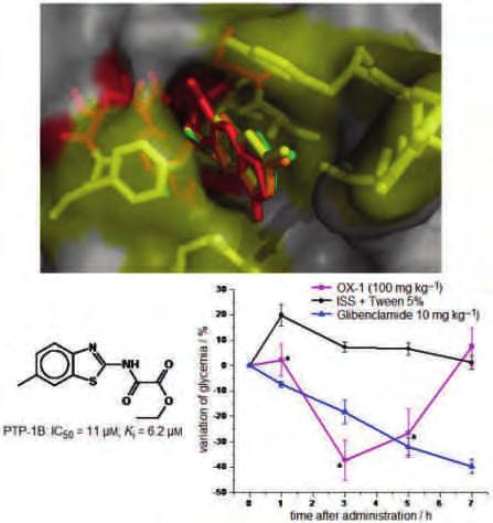 [1] Synthesis, In Vitro and In Silico Screening of Ethyl 2-(6-Substituted benzo[d]thiazol-2-ylamino)-2-oxoacetates as Protein-Tyrosine Phosphatase 1B Inhibitors, G. Navarrete-Vazquez, et al., Eur. J.