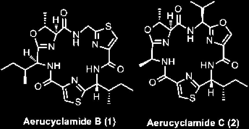 P393 Synthesis of Aerucyclamide Analogues with Antimalarial or Antitrypanosomal Activity Gloria Serra, Stella Peña, Laura Scarone, Eduardo Manta, Fernando Albericio, Judit Tulla-Puche, Lindsay