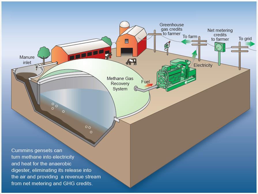 Renewable Biogas