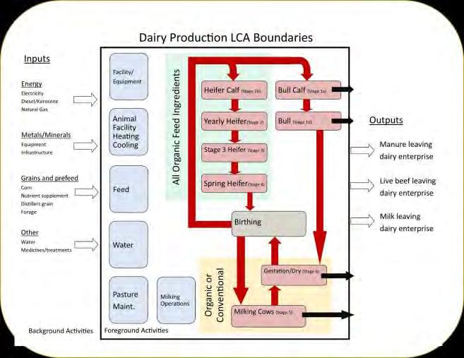 Dairy Production LCA