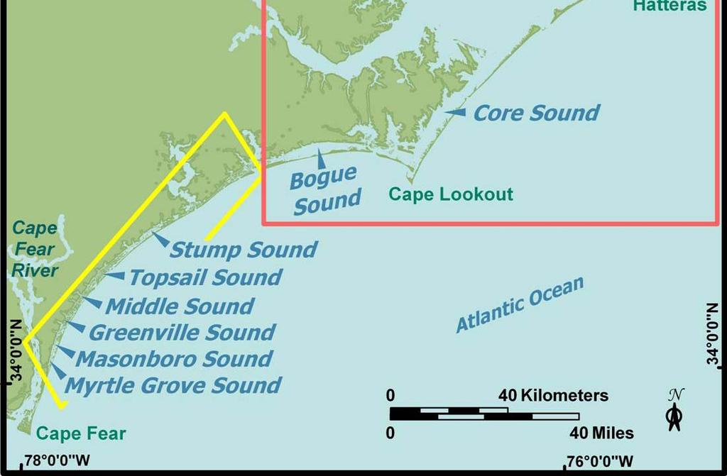 Water level changes in the sounds are primarily attributable to wind driven forcing. Salinity values in these sounds are much lower Figure 1.