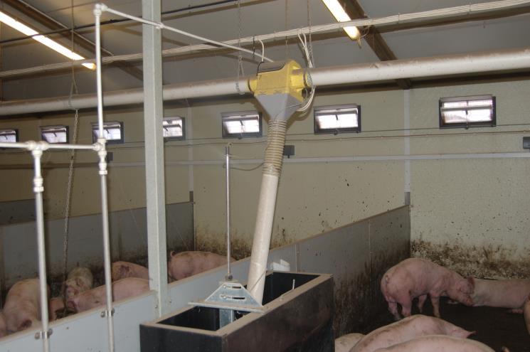 Impact of varying stocking density Pigs in a slatted commercial scale unit were allocated 0.68 (control), 0.77 or 0.85 m 2 per pig.
