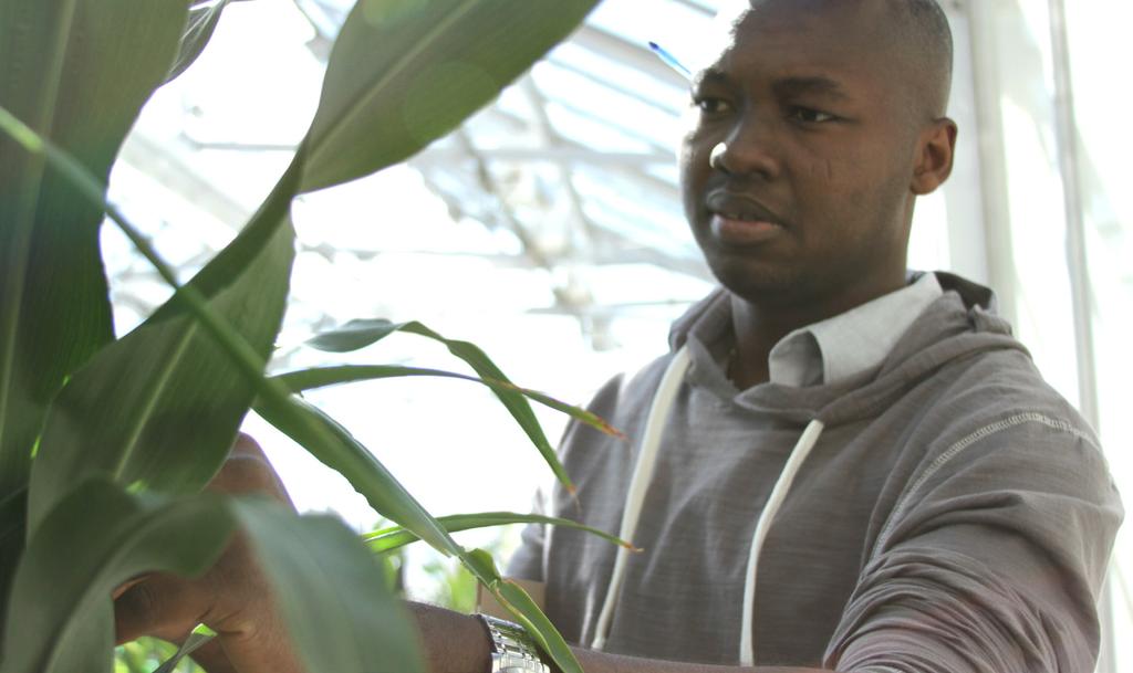P R O G R A M S Borlaug International Scholars Fund The International Scholars Program aims to build productive partnerships with students and scientists from developing countries to help them