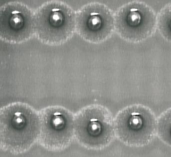 Interfacial structure in a tin silver solder 253 Figure 1. An overhead view of the solder bumps on a printed-circuit (PC) board. (f) The as-solidified solder bump is shown in figure 1. 2.2 Homogeneous thermal aging performance The as-solidified solder bumps were then placed in a furnace whose temperature was maintained at 150 C.