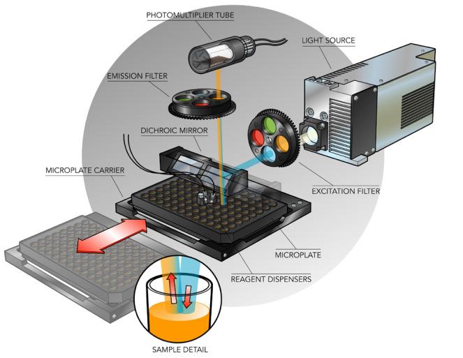 Cell-by-Cell Analysis Fluorescent Plate Reader Flow Cytometer Cell # FSC