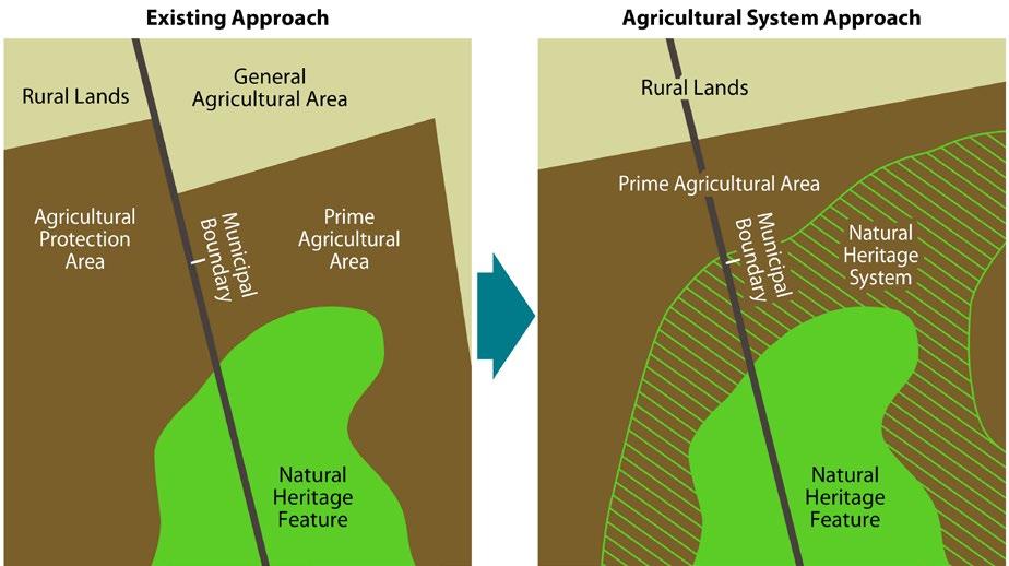 An Agricultural System in Ontario s Greater Golden Horseshoe Area 1.