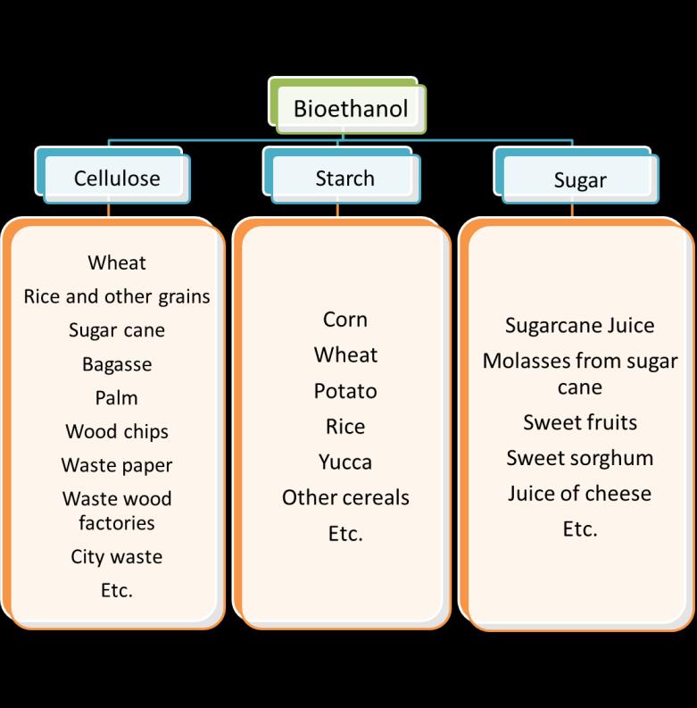 Raw materials for Bioethanol production The bioethanol can be obtained trough processing different vegetables; one of them is the cellulose coming derived from grains, sugar cane
