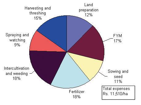 Fig. 1. Activity-wise break up of cost of cultivation for sweet sorghum. 2.