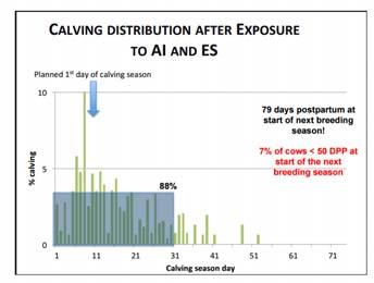 Rule of Thumb on Calving Distribution On the peak day of calving