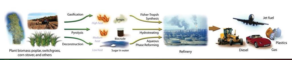 Process Path: Biomass-to-Fuels and Products